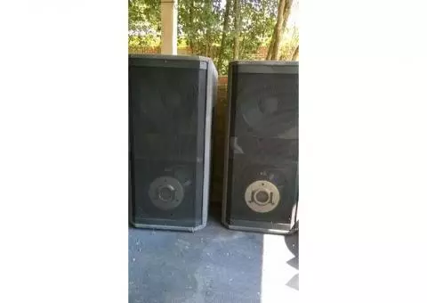 Peavey concert subs